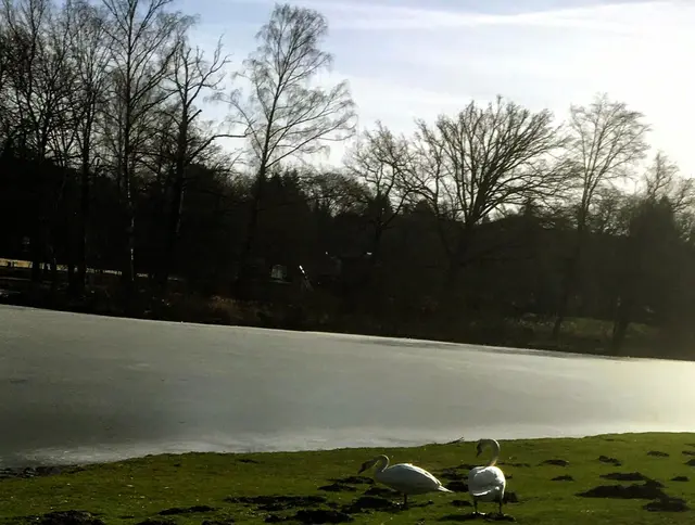 An manchen Tagen reicht ein ruhiger Moment am Ufer, um den Kopf frei zu bekommen. Das sanfte Gleiten der Natur erinnert uns daran, wie wertvoll gelassene Augenblicke sind.