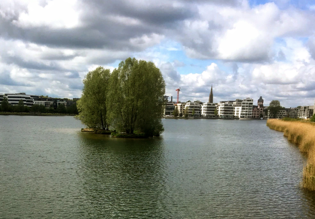 Mitten auf dem See liegt eine kleine Insel der Ruhe. Ein schöner Kontrast zwischen der Beständigkeit der Natur und dem modernen Leben am Ufer.