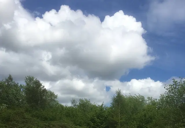 Ein Blick nach oben genügt, um die Weite des Tages zu spüren. Wie mächtige Segel ziehen die Wolken über das Grün und nehmen die Gedanken mit auf ihre Reise.