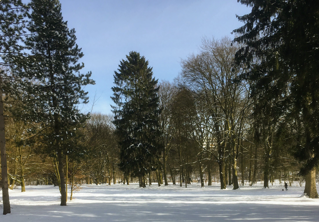 Frische Luft, sanfter Sonnenschein und tief verschneite Wipfel. Ein kleiner Rückblick auf die ruhigen und klaren Tage des Winters.