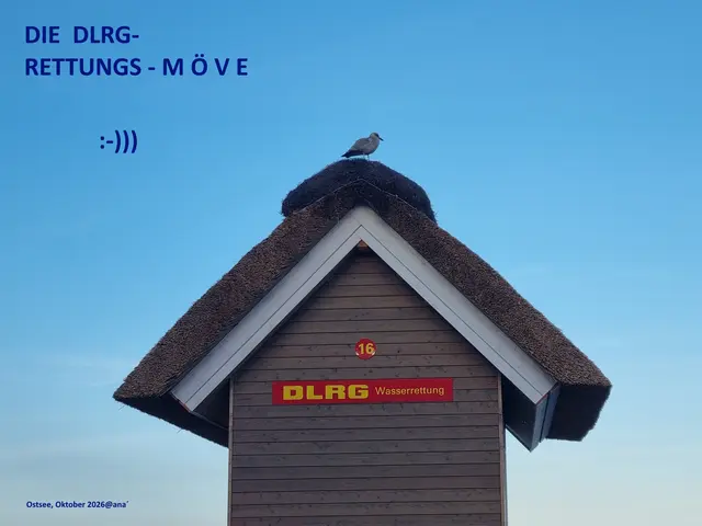 ...regelmäßig sah ich 
ne´  MÖVE oben auf dem Standort der
DLRG
(Deutsche Lebensrettungs-Gesellschaft)
an den Küsten der Ostsee hocken ...
und dachte so bei mir, 
guck´ an, wenigstens eine(r), der Acht gibt...

auf UNS, uns alle !?! 
:-)))

Ist denn die Menschheit, diese Welt, unsere ERDE
und unser aller LEBEN´ noch zu retten´!?!?!

Fragen, über Fragen ...
die Antwort weiß 
vermutlich auch diese MÖVE nicht
vielleicht auch nicht einmal der 
W I N D 

♥♥♥

Mein persönliches Wort zum Samstag :-)

Oktober(Ostsee)2026@AnastasiA