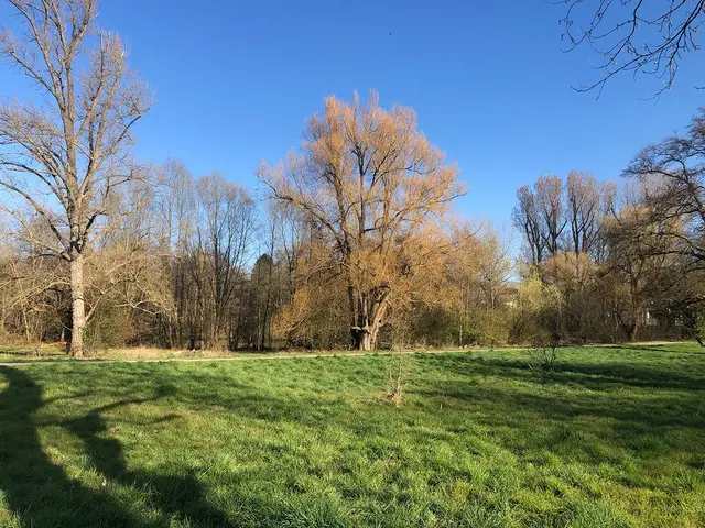 Südliche Leineaue