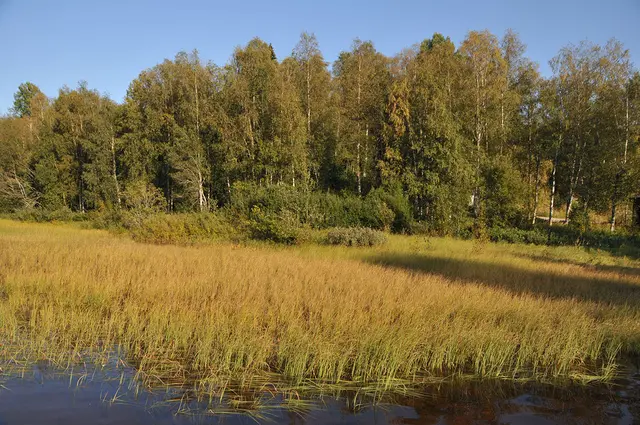 Landschaft am Sidsjön-See