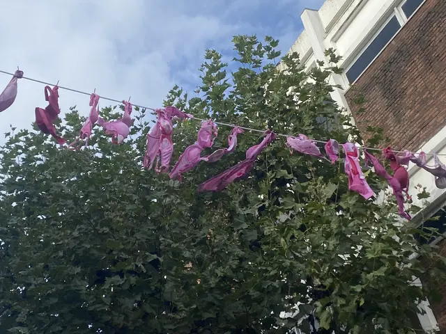 BH auf der Leine. 